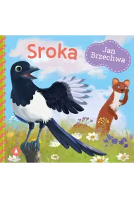 Sroka