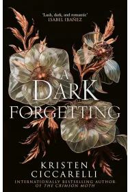 A Dark Forgetting
