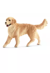 Golden Retriever suczka SLH16395