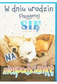 Trend Kartka okoliczno�ciowa Urodziny TS92