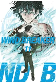 Wind Breaker. Tom 11
