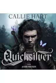 Audiobook Quicksilver mp3