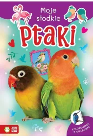 Moje sodkie zwierzaki. Ptaki