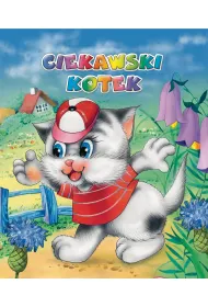 Ciekawski kotek
