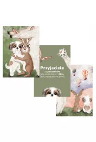 Zestaw Plakat�w A4 Przyja�� 3 sztuki 336x251 mm