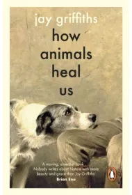 How Animals Heal Us