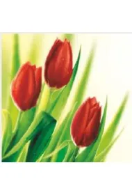 Art Nuvo Karnet kwiatowy kwadrat 3 czerwone tulipany FF001