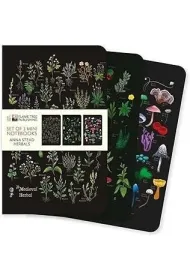 Flame Tree Zestaw 3 notatnik�w MINI Zio�a Anna Stead