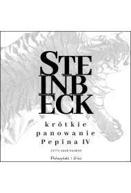 Audiobook Krtkie panowanie Pepina IV mp3