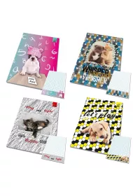 Bee-bee Notes A6 poddruk Best Friends zwierzaki 10 szt.