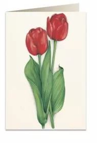 Tassotti Karnet B6 + koperta 7517 Czerwone tulipany