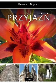 Przyja��