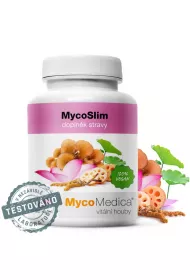 Mycomedica MycoSlim Suplement diety 90 tab.