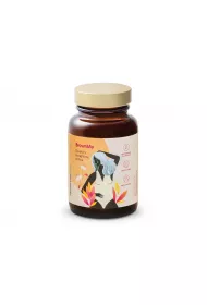 HealthLabs CARE BrownMe suplement diety 30 kaps.