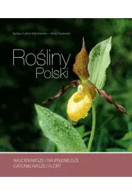 Ro�liny Polski