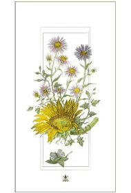 DaVinci Karnet S�oneczniki G06 42A 326 + koperta 12 x 23 cm