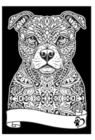 Kolorowanka welwetowa A4 Pitbul