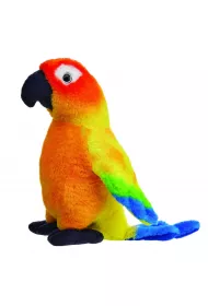 Konura s�oneczna 20cm Beppe