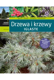 Drzewa i krzewy iglaste