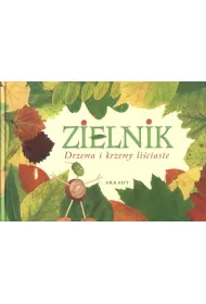 Zielnik. Drzewa i krzewy li�ciaste