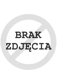 Szpachtu�ka do mas plastycznych 5szt