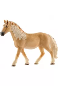 Klacz rasy Haflinger (SLH13812)