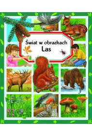 �wiat w obrazkach. Las