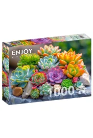 Puzzle 1000 Sukulenty Enjoy