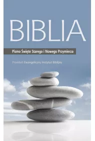 eBook Biblia. Pismo wite Starego i Nowego Przymierza mobi epub