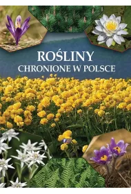 Ro�liny chronione w Polsce