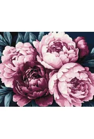 Malowania po numerach - P�atki kwiat�w 40x50cm
