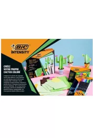 Bic Zestaw Intensity Paper Cactus