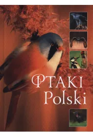 Ptaki Polski