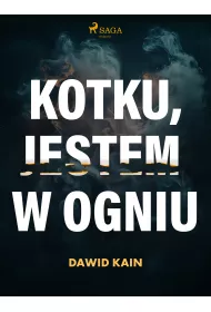eBook Kotku jestem w ogniu mobi epub