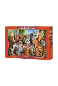 Puzzle 2000 el. House of Cats Castorland