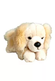 Pies Retriver le��cy Dubi Plusz