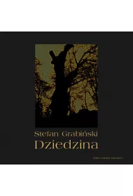 Audiobook Dziedzina mp3