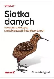 Siatka danych. Nowoczesna koncepcja samoobs�ugowej infrastruktury danych