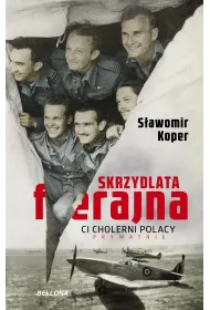 Audiobook Skrzydlata ferajna mp3