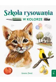 Szko�a rysowania w kolorze