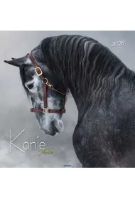 Kalendarze �cienne Kalendarz 2026 Konie KD-22