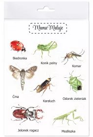Mama Maluje Naklejki du�e Owady 1