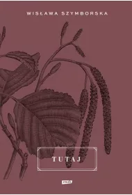 Tutaj