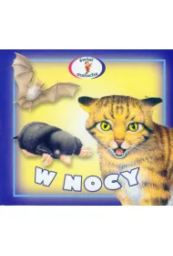 W nocy