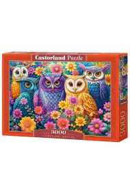 Puzzle 3000 el. Flower Owl Meeting Castorland