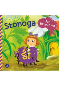 Stonoga