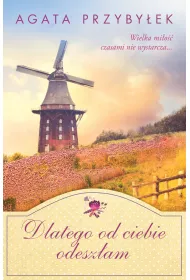 eBook Dlatego od ciebie odeszam. Bd przy mnie zawsze. Tom 3 mobi epub