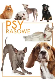 Psy rasowe