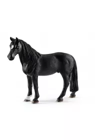 Wa�ach rasy Tennessee Walker