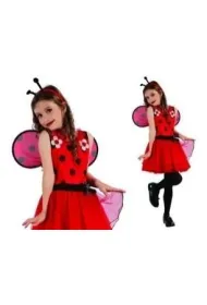 Madej Str�j Biedronka rozmiar S 110-120cm